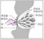 제4권 1장 1-15.jpg