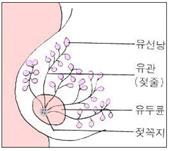 제4권 1장 1-14.jpg