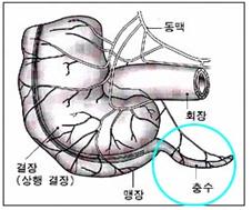 제7권 16장 5-1.jpg