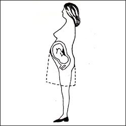 fetus-womb-1s.jpg