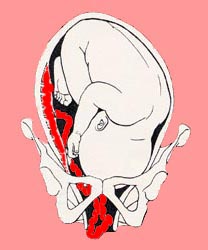 fetal-position-16s.jpg