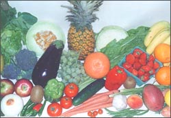 food-ve-fruits-1s.jpg